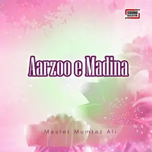 Aarzoo-e-Madina image