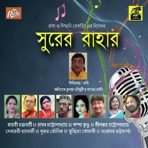 Surer Bahar image