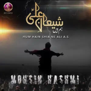 Hum Hain Shia Ne Ali - Single image