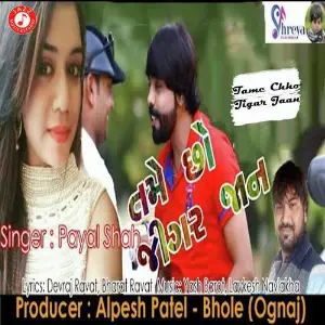 Tame Chho Jigar Jaan image