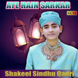 Aye Hain Sarkar image