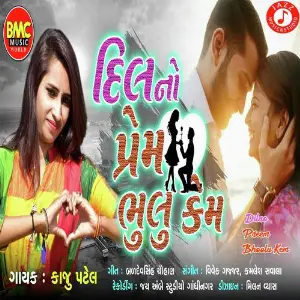 Dilno Preem Bhoolu Kem image