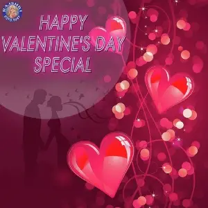 Happy Valentines Day Special Various Artists