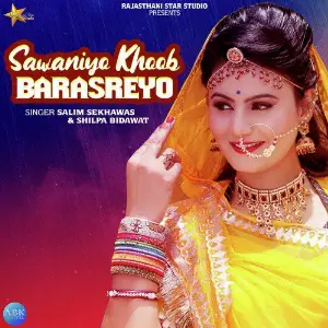 Sawaniyo Khoob Barasreyo - Single image