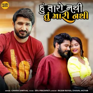 Hu Taro Nathi Tu Mari Nathi image