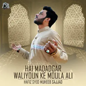 Hai Madadgar Waliyoun Ke Moula Ali - Single image