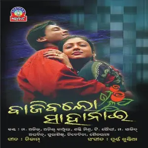 Bajibalo Sahanai image