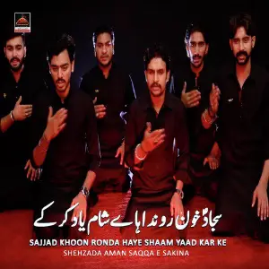 Sajjad Khoon Ronda Haye Shaam Yaad Kar Ke image