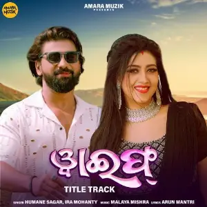 Wife Title Track (From Wife) image