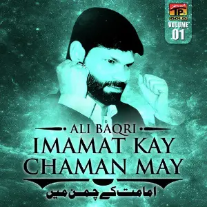 Imamat Kay Chaman May, Vol. 1 image