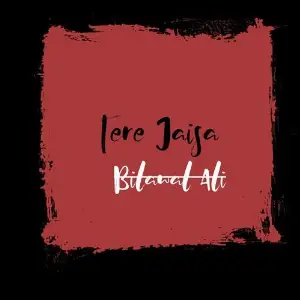 Tere Jaisa image