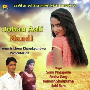 Joban Aali Mandi image