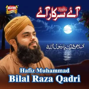 Aaye Sarkar Aaye image