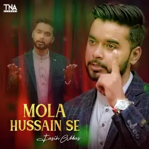 Mola Hussain Se - Single image