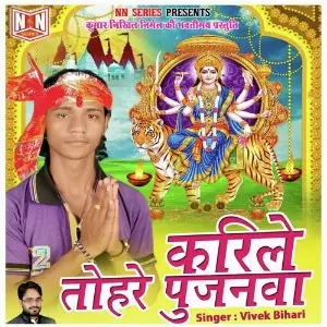 Karile Tohre Pujanwa image