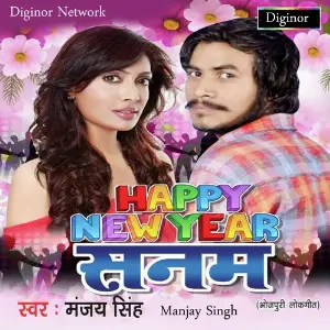 Happy New Year Sanam image