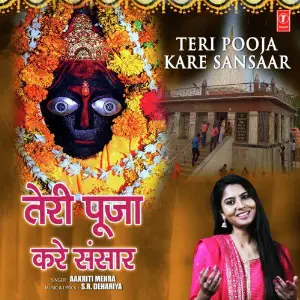 Teri Pooja Kare Sansaar image