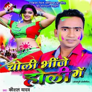 Choli Bhinje Holi Me image