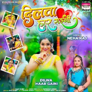 Dilwa Haar Gaini image