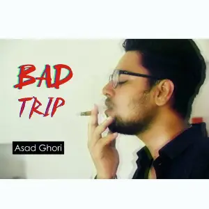 Bad Trip image