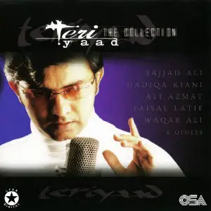 Teri Yaad (The Collection) image