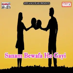 Sanam Bewafa Ho Gayi image