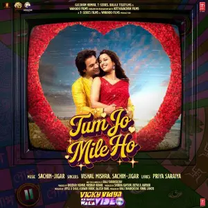 Tum Jo Mile Ho (From Vicky Vidya Ka Woh Wala Video) image