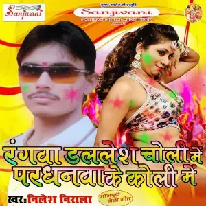 Rangwa Dalles Choli Me Pardhanwa Ke Koli Me image