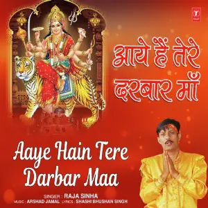 Aaye Hain Tere Darbar Maa image