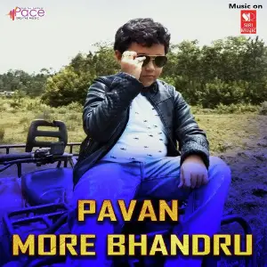 Pavan More Bhandru image