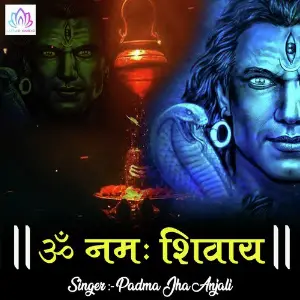Om Namah Shivaya image