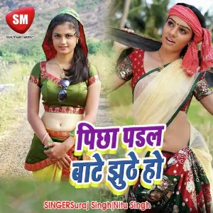 Pichha Padal Bate Jhuthe Ho (Bhojpuri Song) image