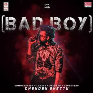 Bad Boy image