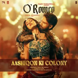 Aashiqon Ki Colony (From O Romeo) image