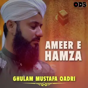 Ameer E Hamza image