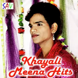 Khayali Meena Hits image