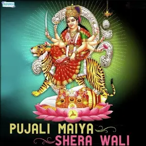 Pujali Maiya Shera Wali image