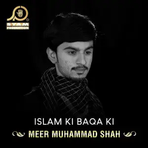 Islam Ki Baqa Ki - Single image