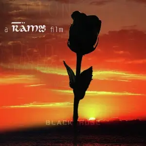 Black Rose image
