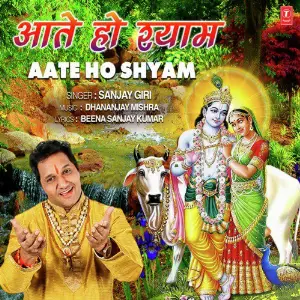 Aate Ho Shyam image