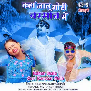 Kahan Jaalu Gori Barsaat Mein image