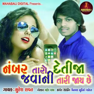Number Taaro Detija Javani Tari Jaaye Chhe image