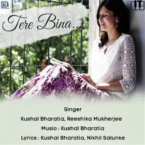 Tere Bina image