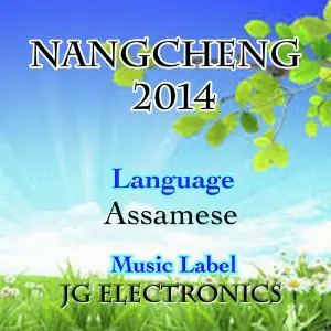 Nangcheng 2014 image