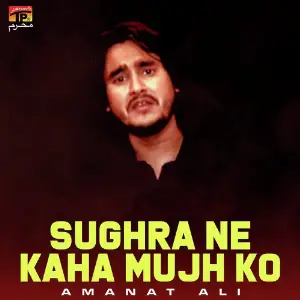 Sughra Ne Kaha Mujh Ko - Single image