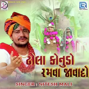 Dhola Kanudo Ramva Javado image