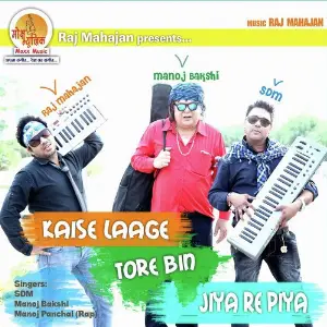 Laage Kaise Tore Bin image