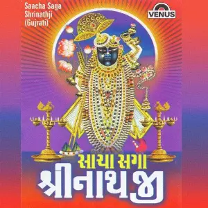 Sacha Saga Shrinathji image