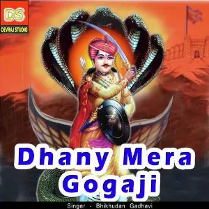 Dhany Mera Gogaji image