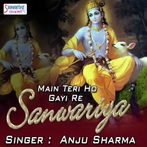 Main Teri Ho Gayi Re Sanwariya image